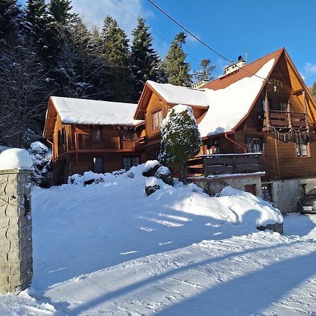 Dom Goscinny Dudek Krynica-Zdrój Exteriér fotografie