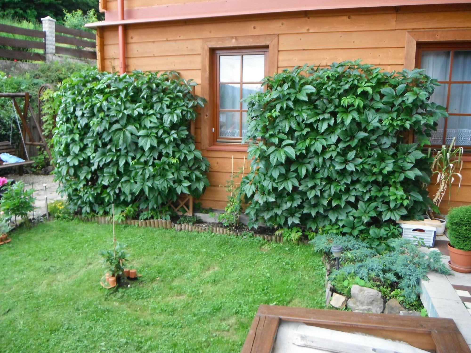 Dom Goscinny Dudek Krynica-Zdrój Exteriér fotografie