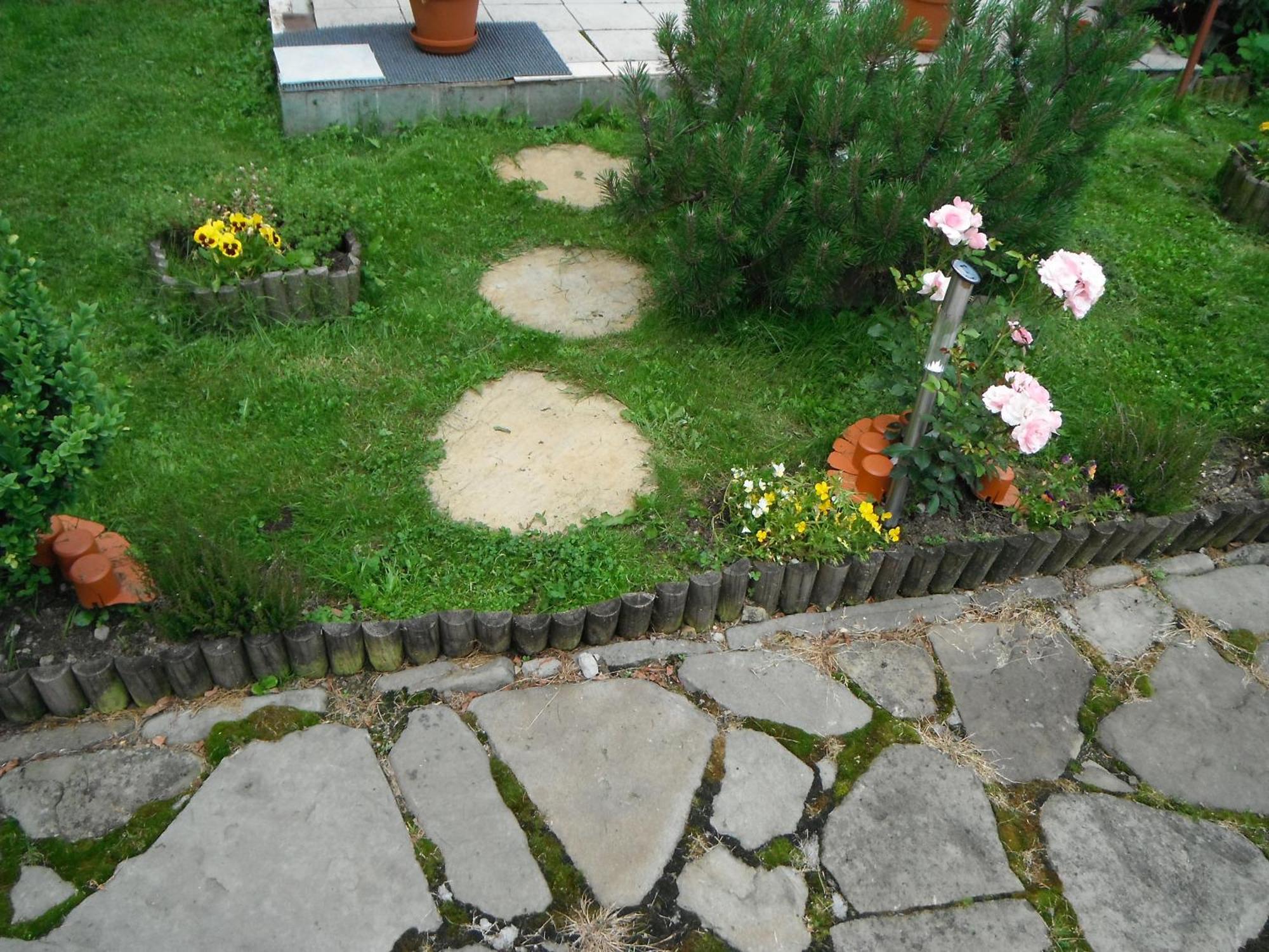 Dom Goscinny Dudek Krynica-Zdrój Exteriér fotografie