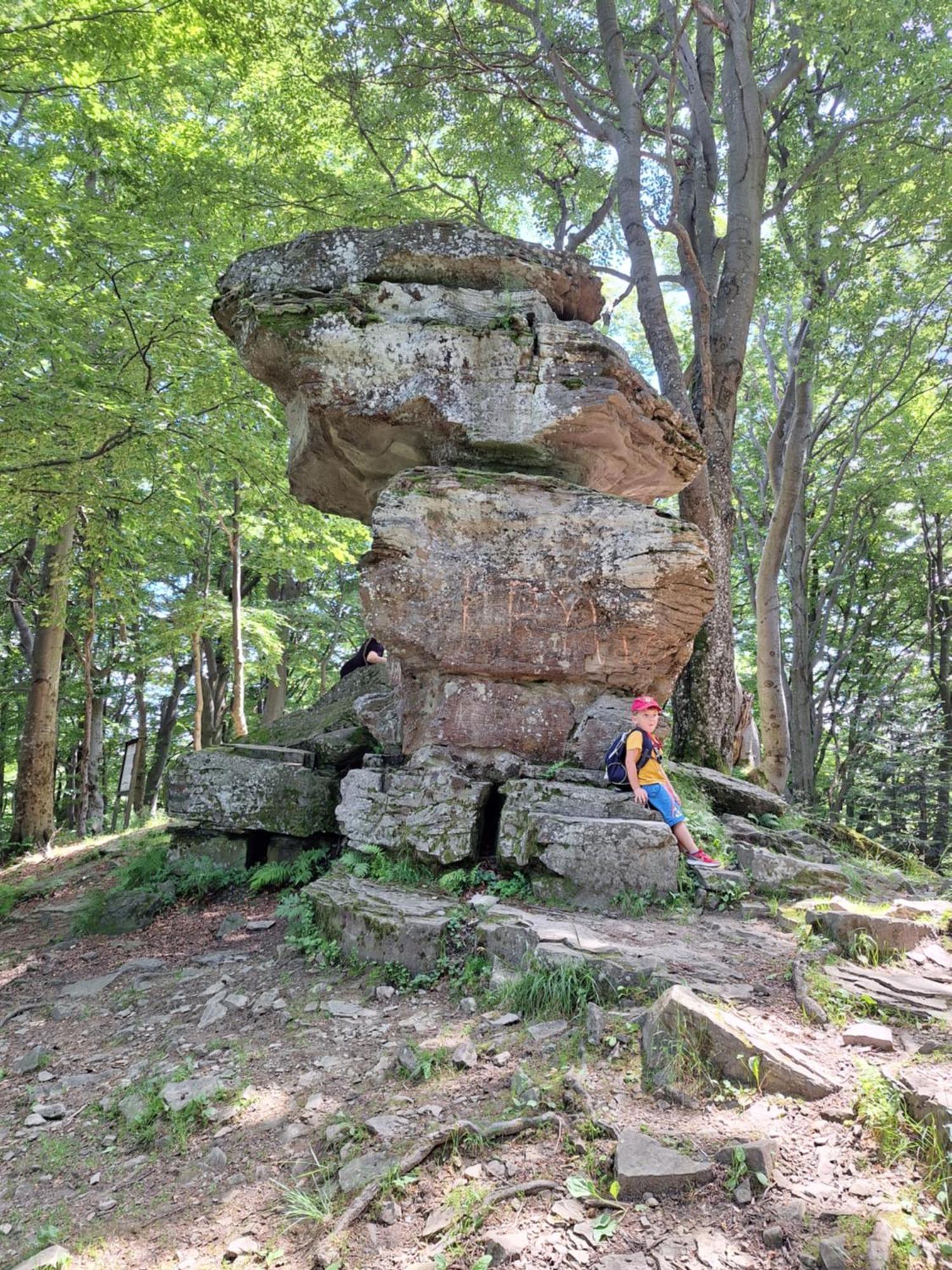 Dom Goscinny Dudek Krynica-Zdrój Exteriér fotografie
