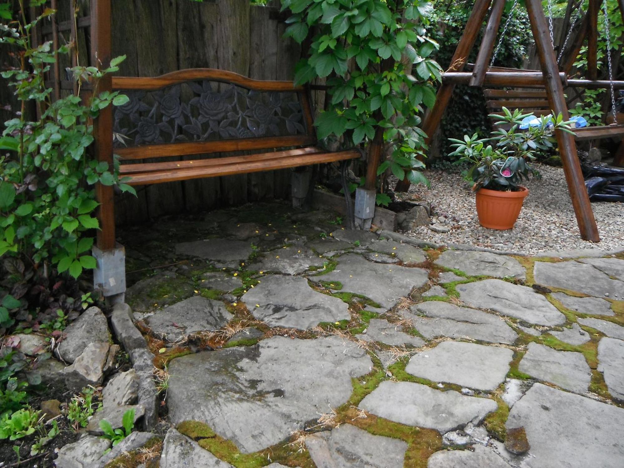 Dom Goscinny Dudek Krynica-Zdrój Exteriér fotografie