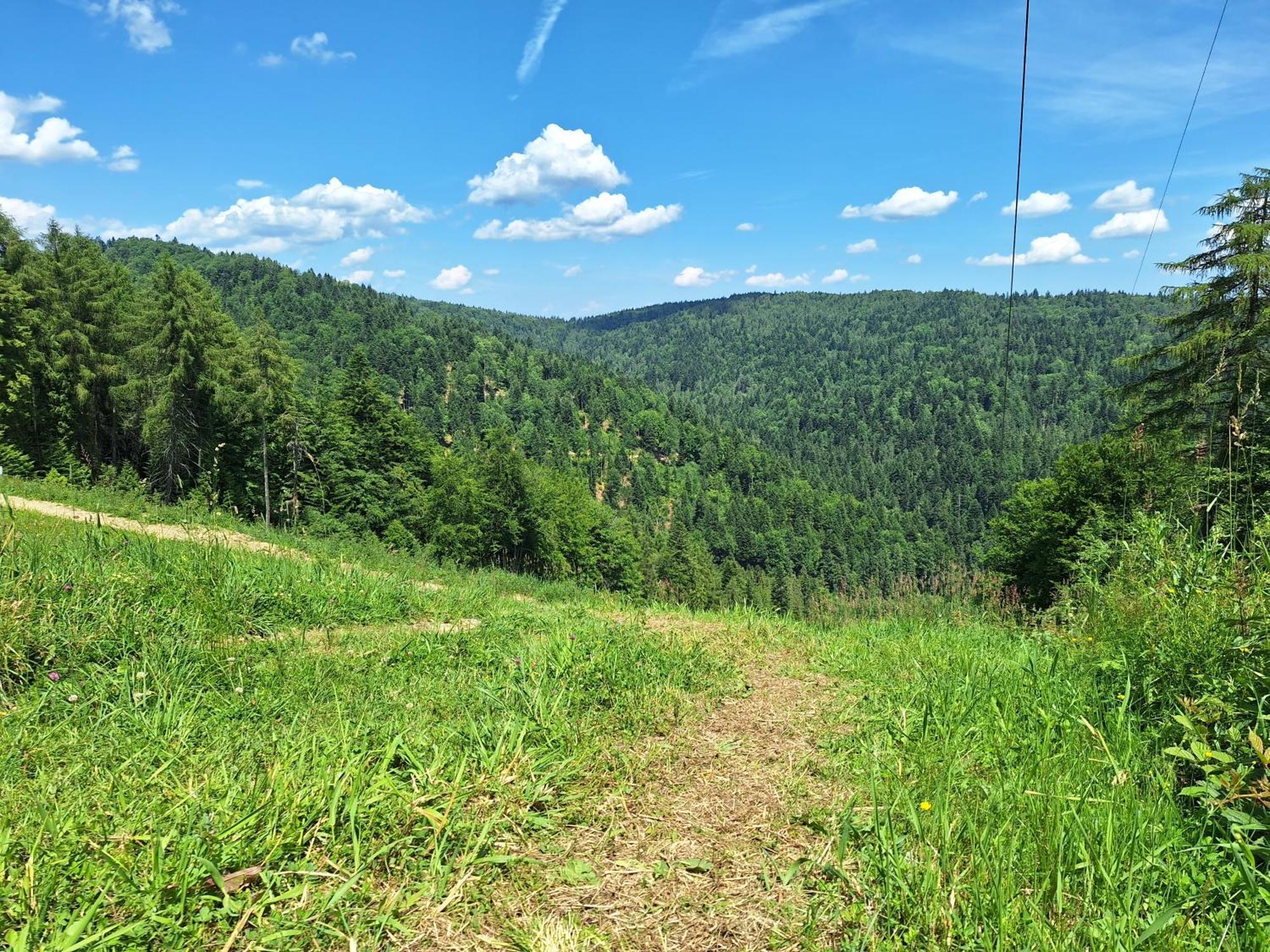 Dom Goscinny Dudek Krynica-Zdrój Exteriér fotografie
